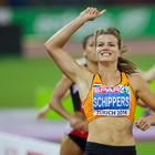 Medium dafneschippers