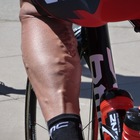 Medium hincapy leg