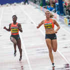 Medium 2015 09 12 dafneschippers